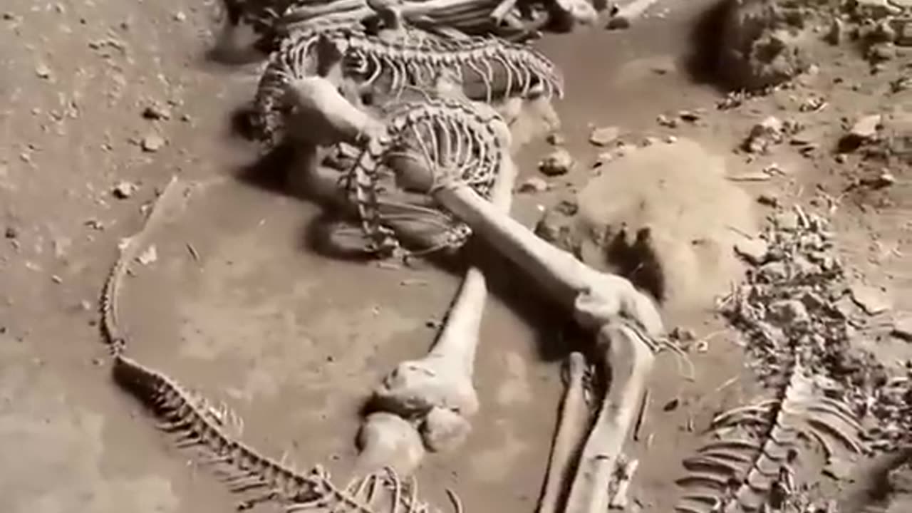 They are obviously hiding something from us!