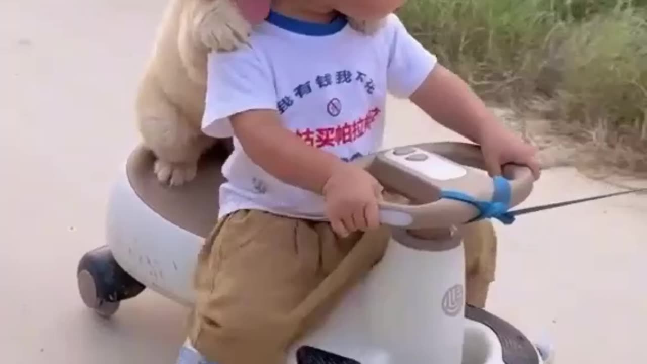 Biking Buddies: Boy and His Dog Having a Great Time 🐶🚲