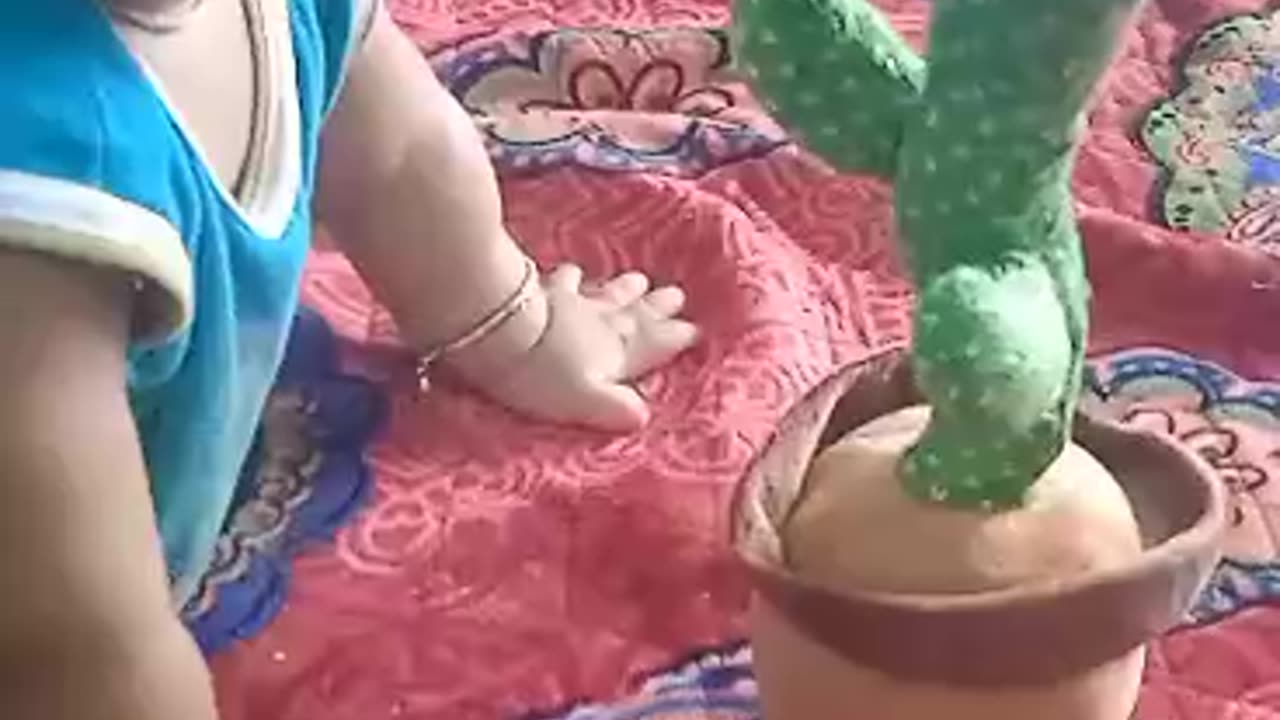 Child Playing With Cactus Toy