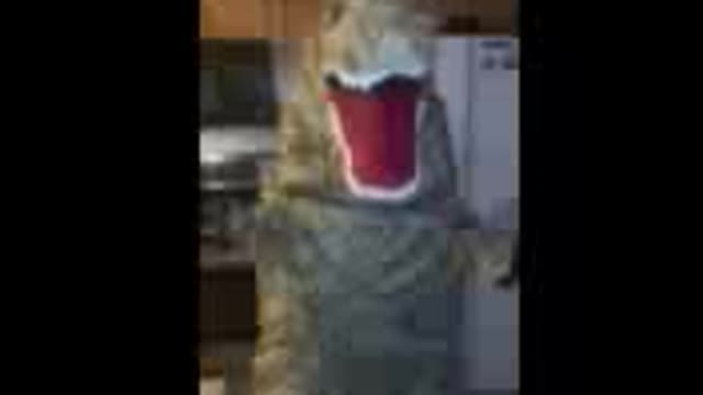 Pre historic
