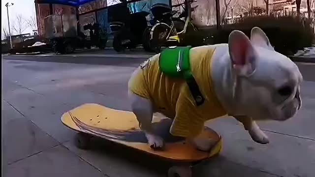 Who is first in skateboarding competition