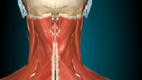 ANATOMY AND PHYSIOLOGY TEACHING BY DR.SHASHIKANT