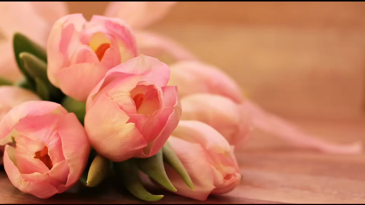 Relaxing Music ! Sleep Music so Sweet
