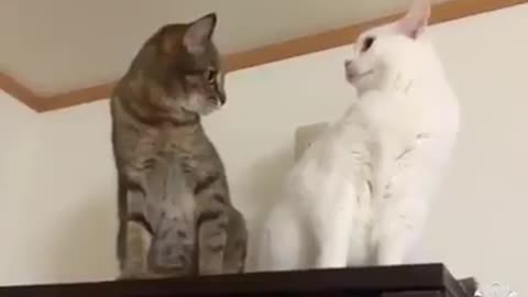 all of a sudden