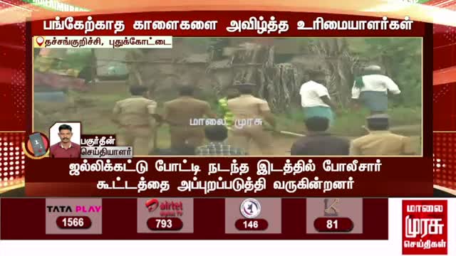 BREAKING | பங்கேற்காத காளைகளை அவிழ்த்த உரிமையாளர்கள் | Jallikattu