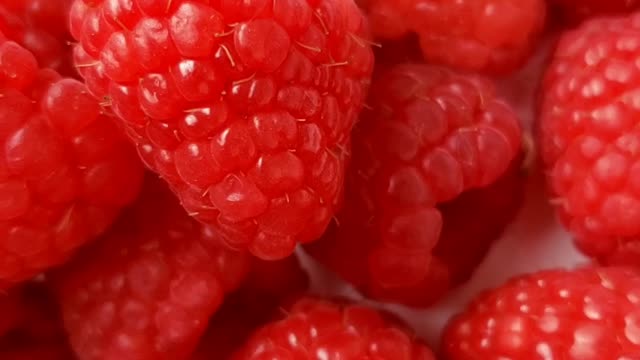 Raspberries Plants #fruits #strawberry