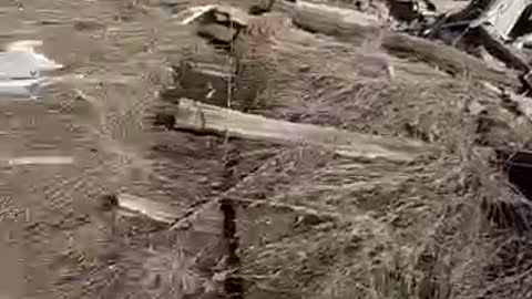 grenades russia border