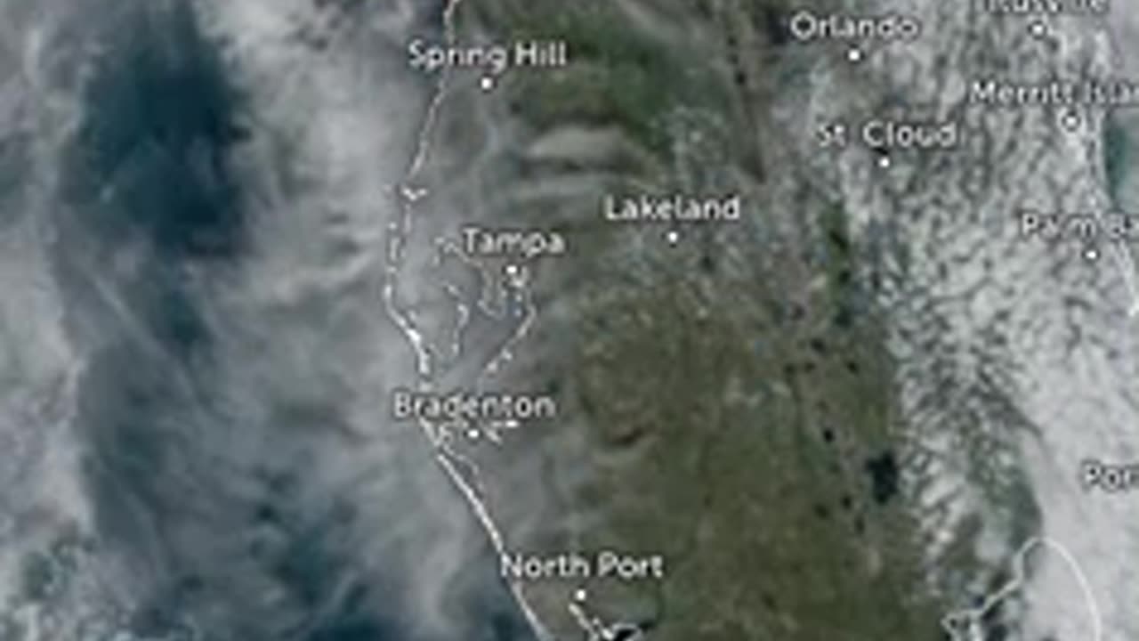 FL 11-19-24
