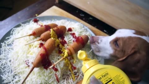 Dogs Make Pizza: Funny Chef Dog Maymo & Potpie Cook Pizza!