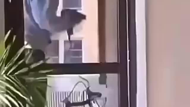 Are you sure you want to do it