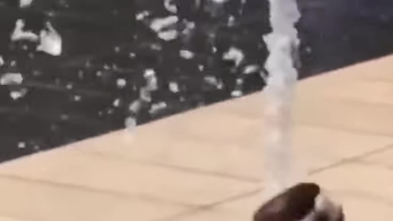 Funny animal dog playing with water, try not to laugh!