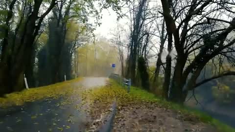 Rain White Noise Sounds For Sleeping, Study, Relax, Insomnia rain 38