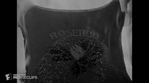 Teaser