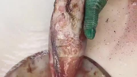 Cute Fish Cutting...