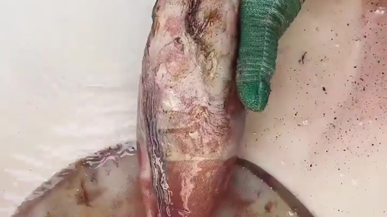 Cute Fish Cutting...