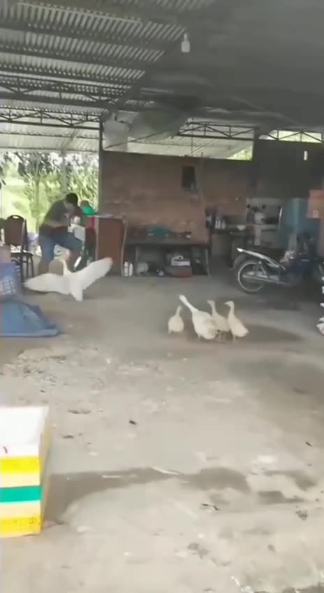 No trespassing allowed when babies in area 🤣