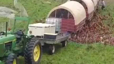 Mobile Chicken Coop ##❗❗