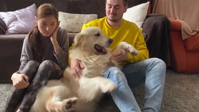 Golden Retriever Dog Reacts When My Wife and I are Sad