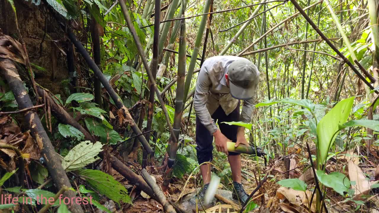 Life In The Forest,How To Bring Water Back, Build Outdoor Bath House 2022