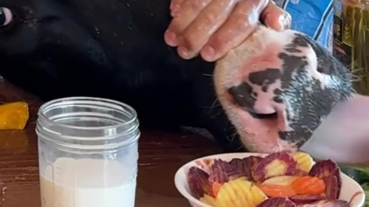 Hi 👋 👋 👋 👋 the phone was just the 6