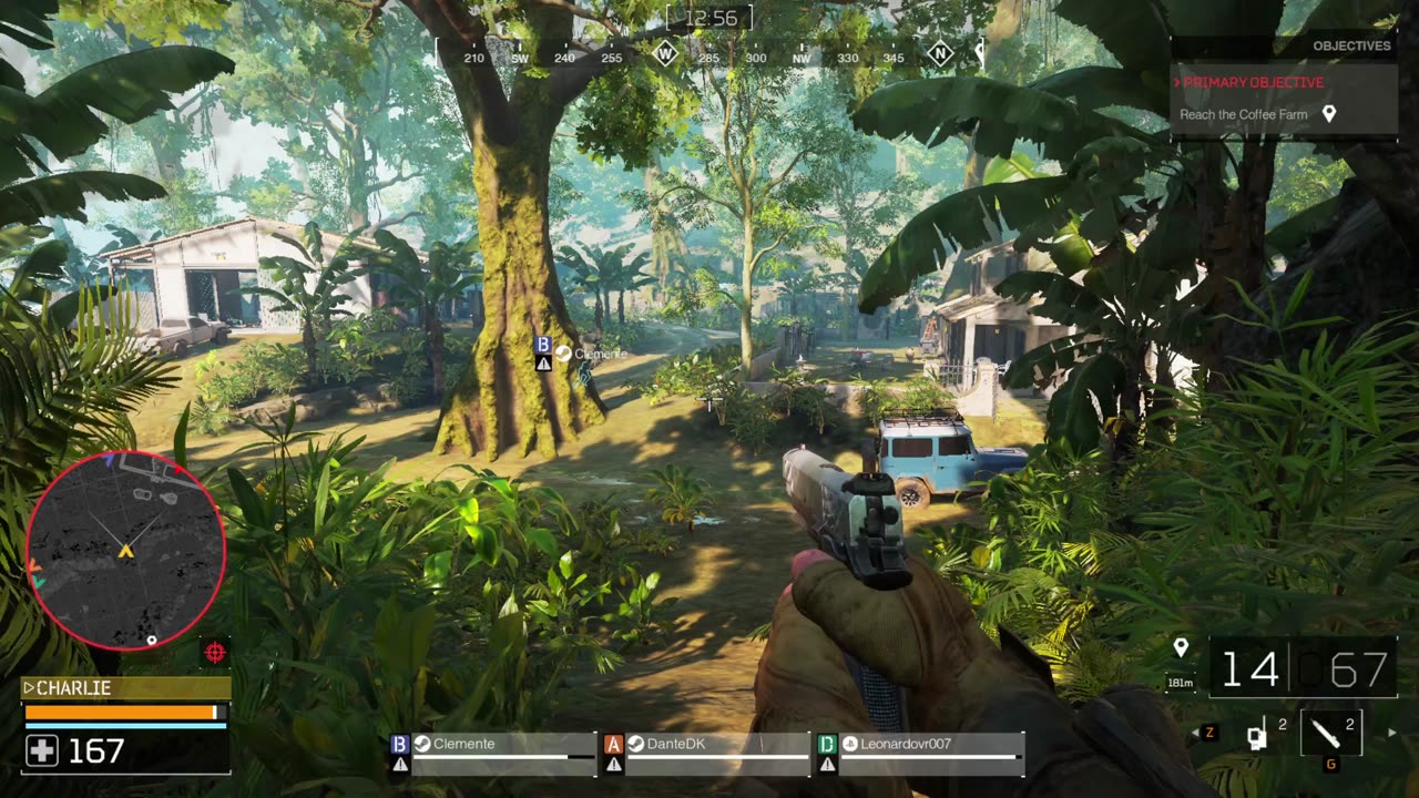 BULLYING IN THE JUNGLE