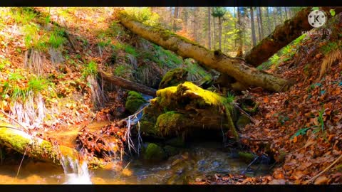 Relaxing Music | Sleeping, Meditation, Stress Relief | [1080] ⭐️
