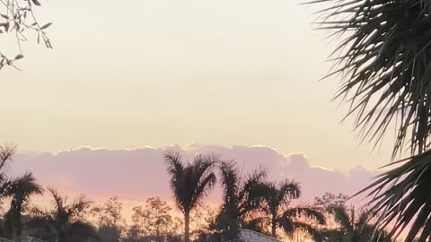 Sunset In Paradise 12/6/2022 #4K #HDR FYP #Sunset #Estero #SWFL #DolbyVision #mywalksinparadise￼ ￼