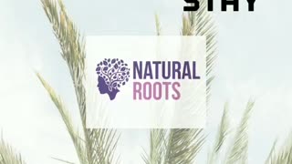 Natural roots nyc