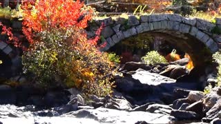 Stone Arch Bridge