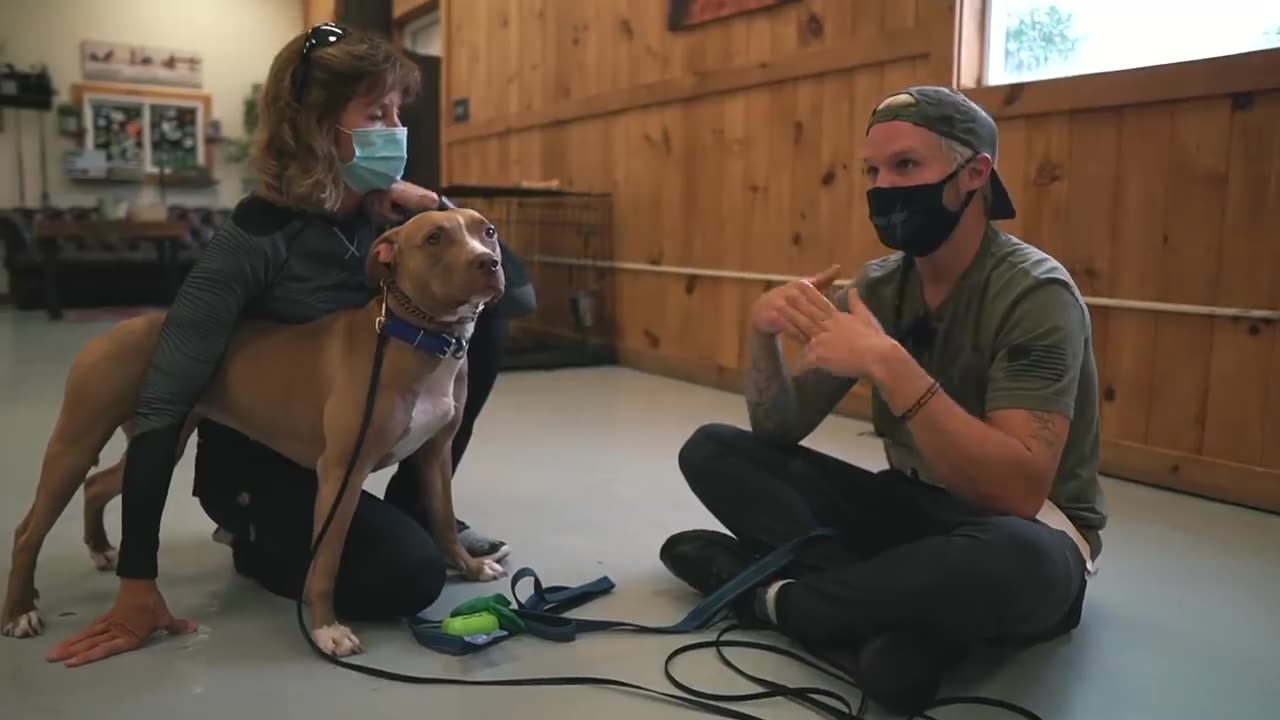 Description X TERRIFIED PITBULL'S LIFE CHANGED AFTER THIS...