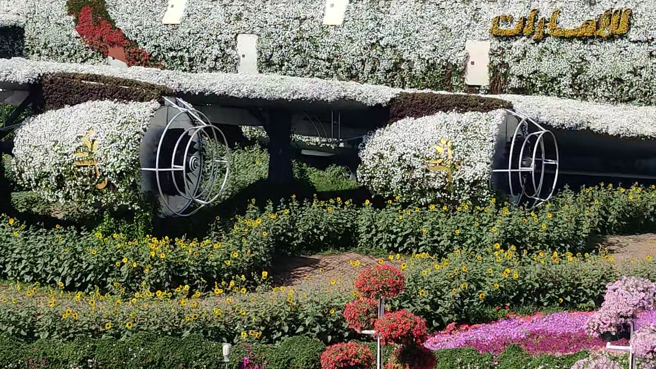 Miracle garden Emirates dubai