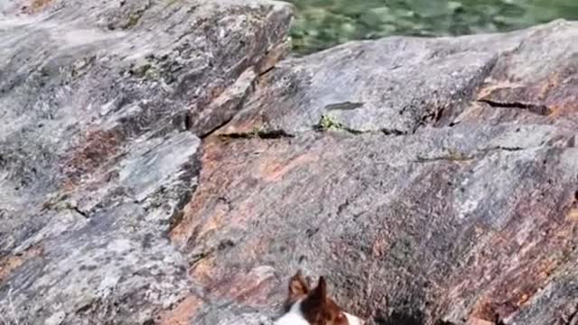 COME WITH ME ON MY FIRST HIKE!