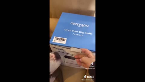 Funny animal videos 2023 - Funny cats_dogs - Funny animals Part71_Haypyy Pett