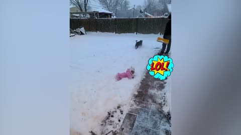 Funniest moments by Kids