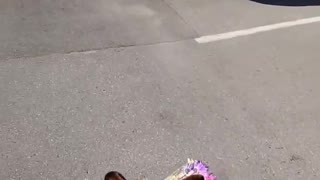 Precious Pupper Brings Mom Flowers