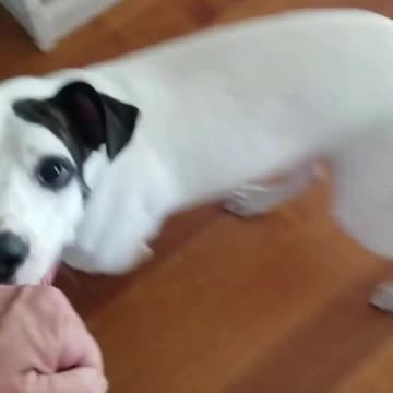 Great lesson with Roger Saturday, shaping the Heel cue.