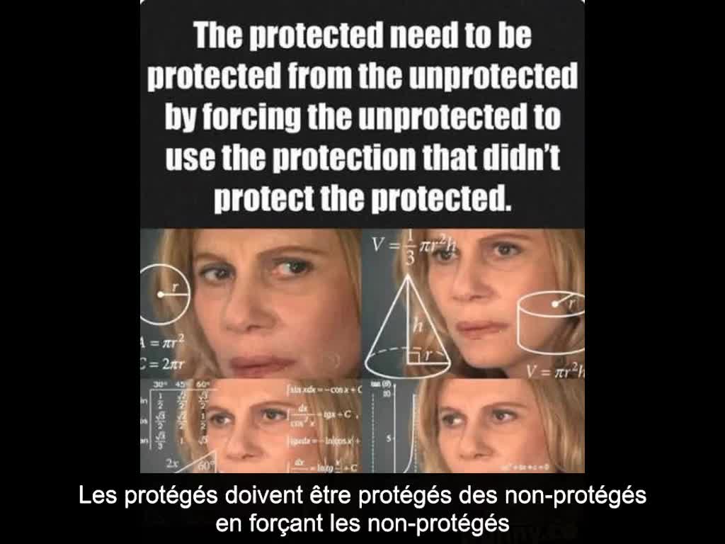 The Protected Need to Be Protected from the Unprotected (voix de synthèse) (VOST)