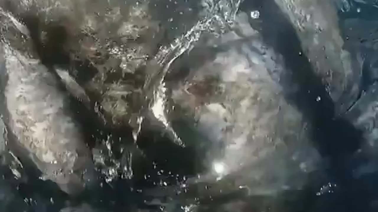 Surviving the impossibleš³