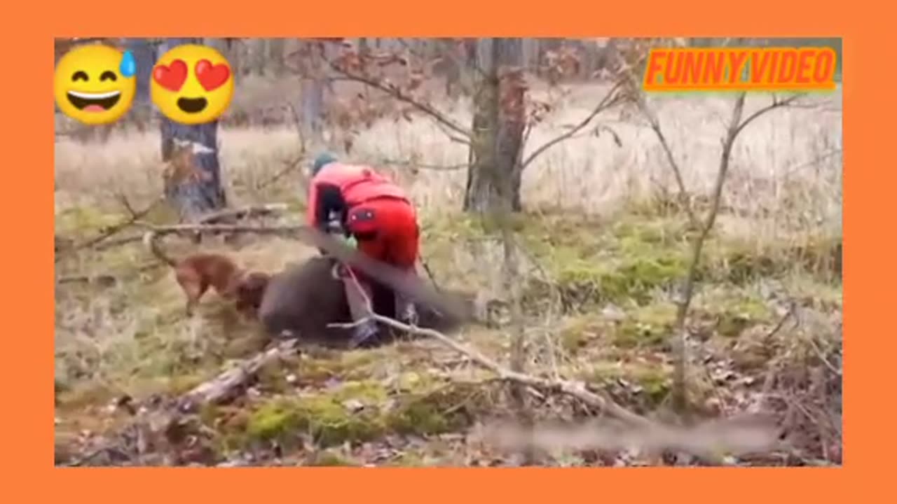 Very interesting video 😲😊🐕😺🐒🐶😍