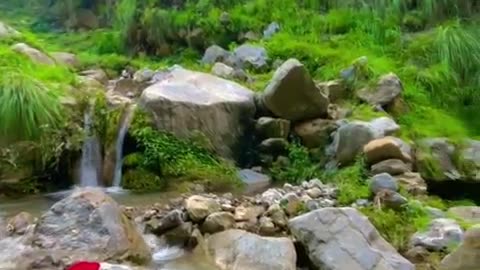 beautiful nature video