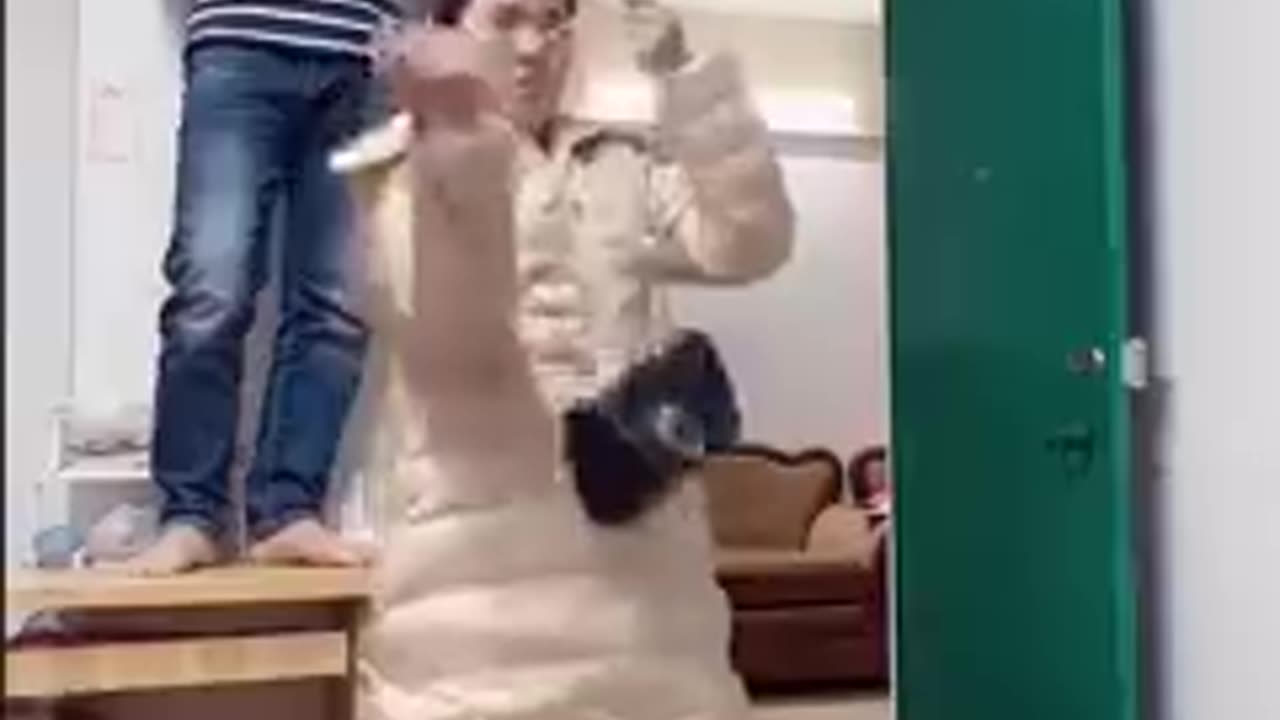 house wife funny video