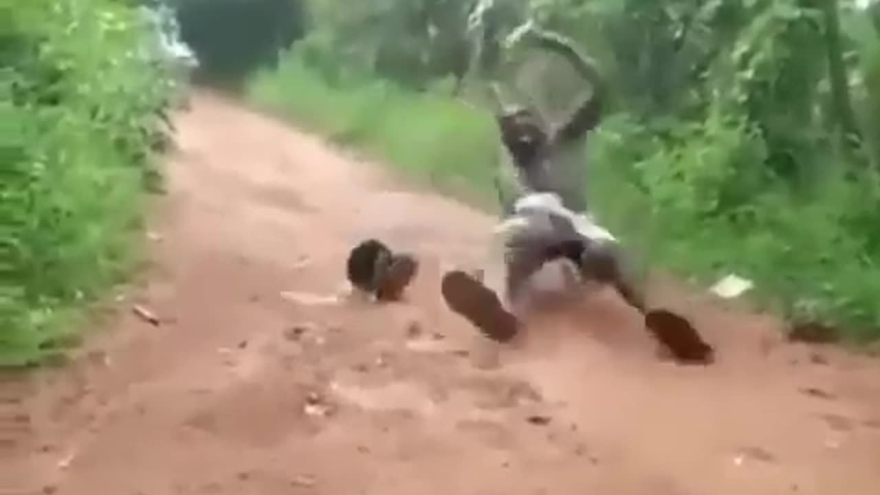 Snake 🐍 funny video