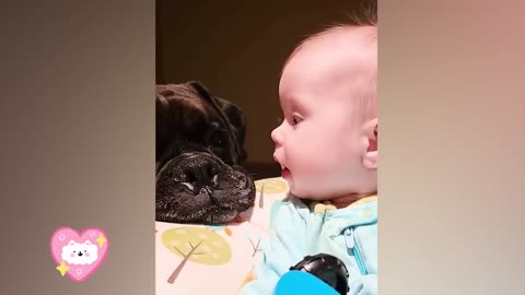 Best video of Cute Babies and Pets - Funny Baby and Pet