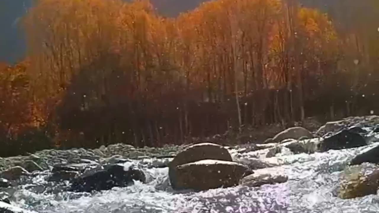 Beautiful view in autumn GB