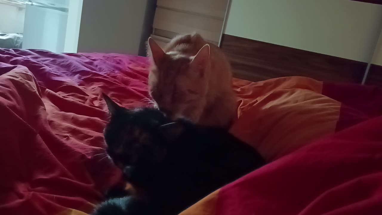 GOOD MORNING SIS! Time for some cleaning!