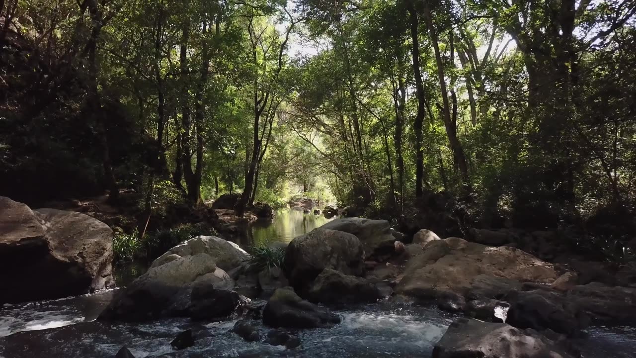 Nature