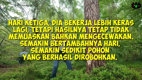 CERITA KETENANGAN HIDUP WISDOM - KISAH PENEBANG POHON