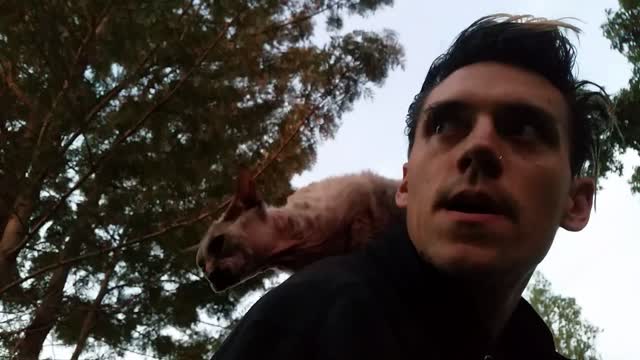 I dono what the hell that is, but I lick it anyway..