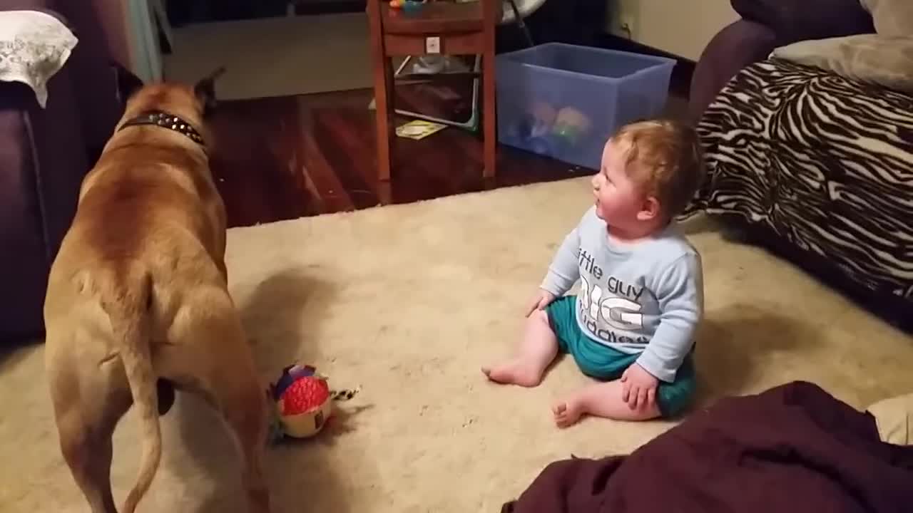 Baby laughing at dog & bubbles