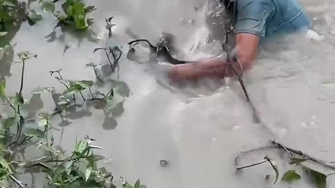 Amazing Fisherman Skills 😱